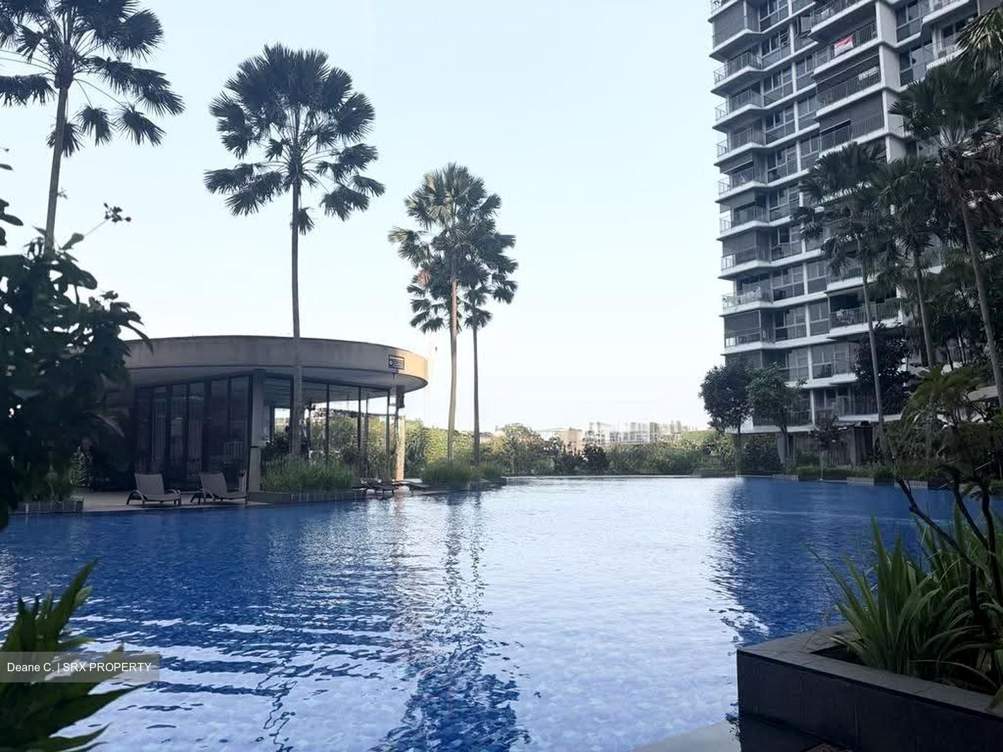 Rivertrees Residences (D28), Apartment #611056191